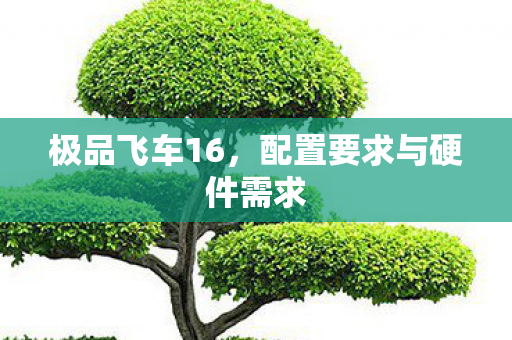 配置要求与硬件需求图片