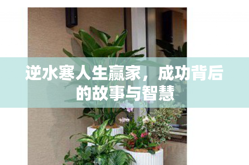 成功背后的故事与智慧图片