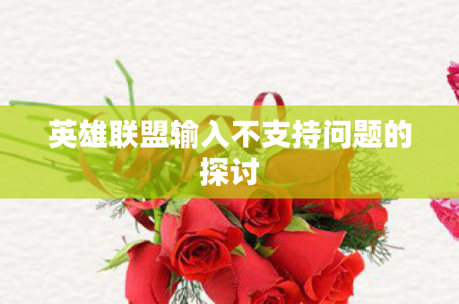 英雄联盟输入不支持问题的探讨图片