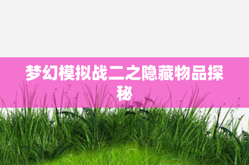 梦幻模拟战二之隐藏物品探秘图片