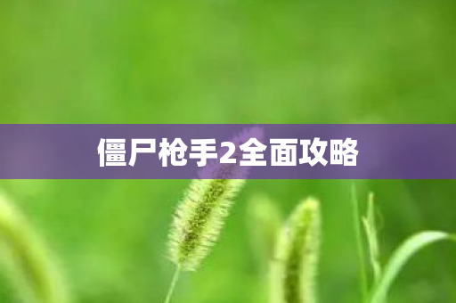 僵尸枪手2全面攻略图片
