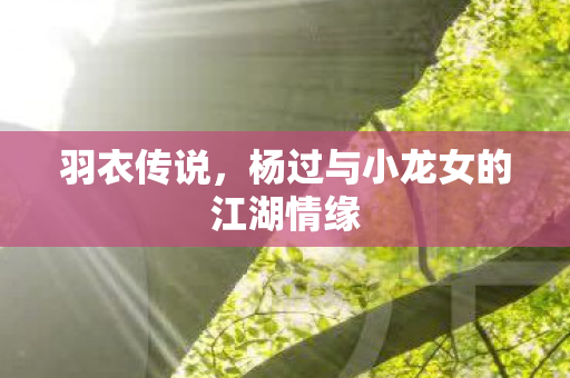 杨过与小龙女的江湖情缘图片