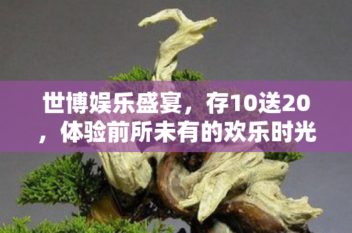 体验前所未有的欢乐时光图片