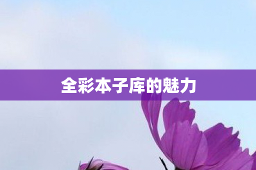 全彩本子库的魅力图片