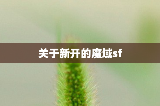 关于新开的魔域sf图片