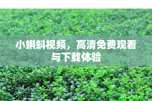 高清免费观看与下载体验图片