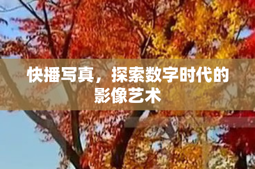 探索数字时代的影像艺术图片