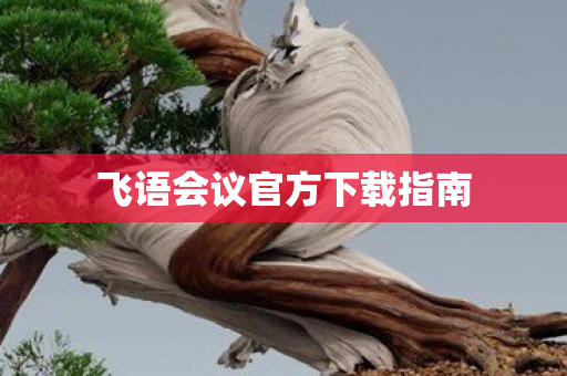 飞语会议官方下载指南图片