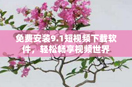 1短视频下载软件图片