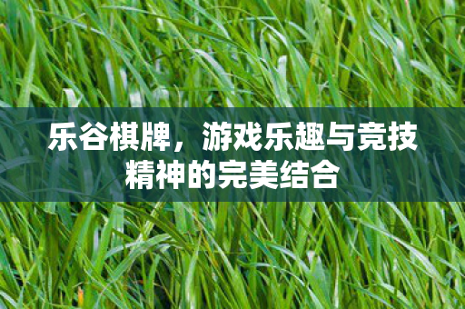 游戏乐趣与竞技精神的完美结合图片