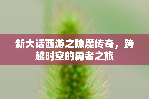 新大话西游之除魔传奇图片