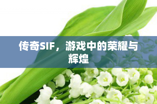 游戏中的荣耀与辉煌图片