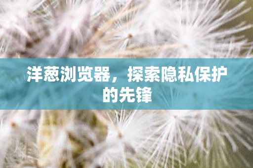 探索隐私保护的先锋图片
