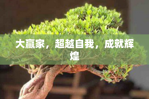 超越自我图片