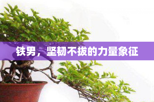 坚韧不拔的力量象征图片