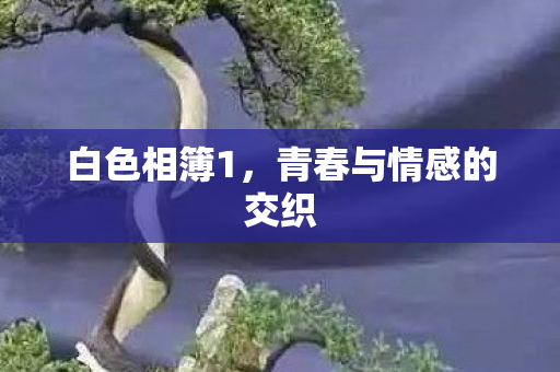 青春与情感的交织图片