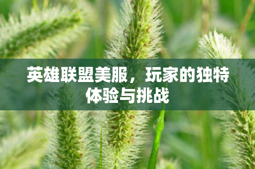 玩家的独特体验与挑战图片