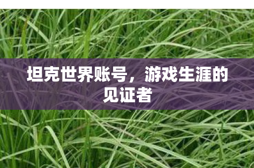 游戏生涯的见证者图片