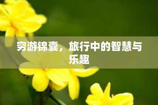 旅行中的智慧与乐趣图片