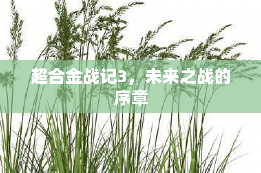 未来之战的序章图片