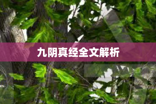 九阴真经全文解析图片