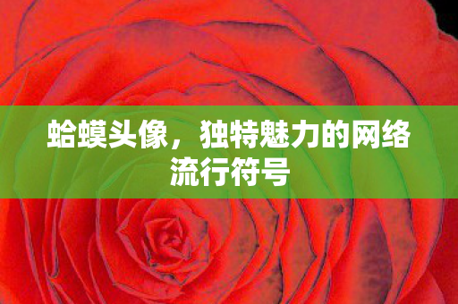 独特魅力的网络流行符号图片