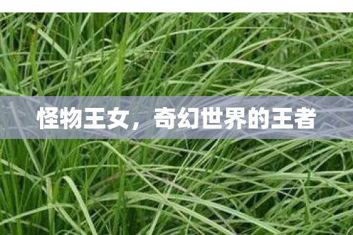 奇幻世界的王者图片
