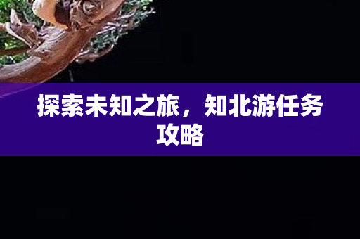 知北游任务攻略图片