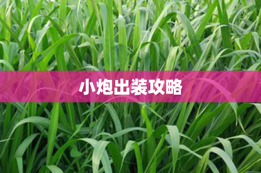 小炮出装攻略图片