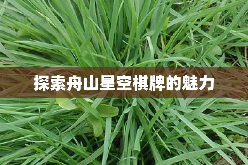 探索舟山星空棋牌的魅力图片