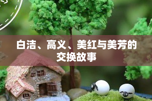 美红与美芳的交换故事图片