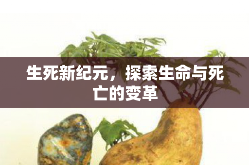 探索生命与死亡的变革图片