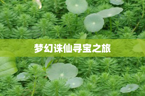 梦幻诛仙寻宝之旅图片