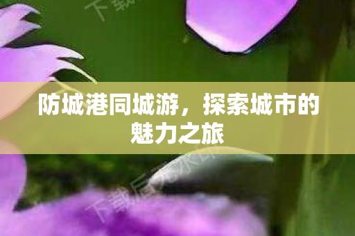 探索城市的魅力之旅图片