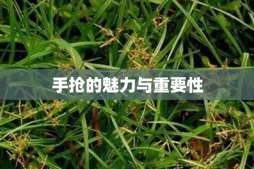 手抢的魅力与重要性图片