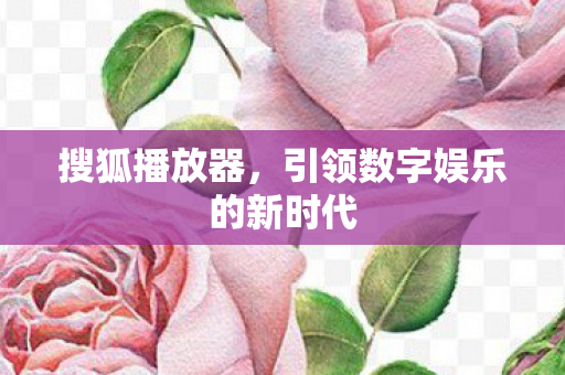 引领数字娱乐的新时代图片