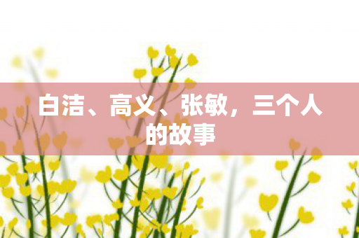 三个人的故事图片