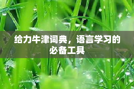 语言学习的必备工具图片