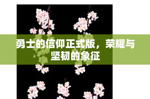 勇士的信仰正式版图片