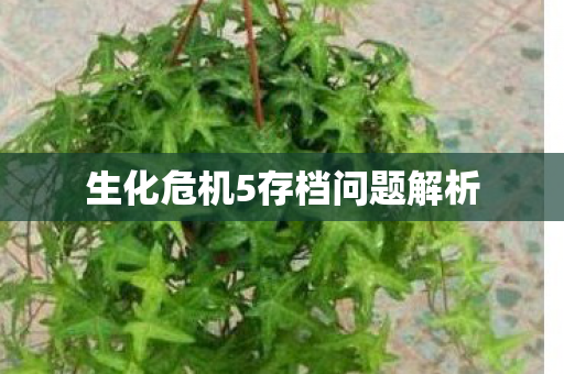 生化危机5存档问题解析图片