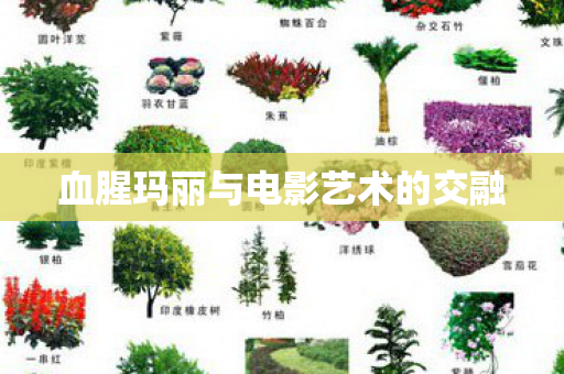 血腥玛丽与电影艺术的交融图片
