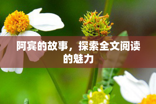 探索全文阅读的魅力图片