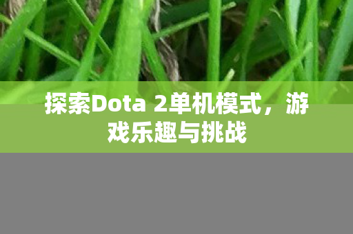 探索Dota 2单机模式图片