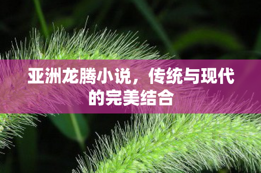 传统与现代的完美结合图片