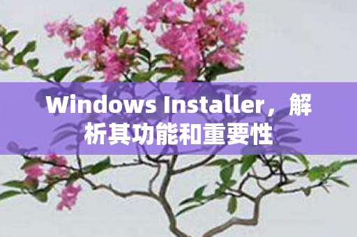 Windows Installer图片