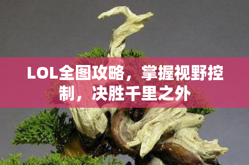 LOL全图攻略图片