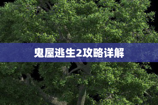 鬼屋逃生2攻略详解图片