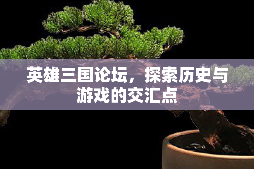 探索历史与游戏的交汇点图片