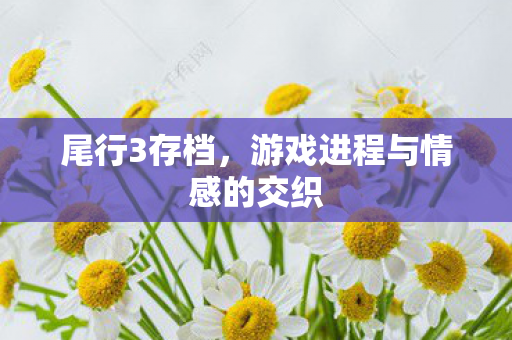 游戏进程与情感的交织图片