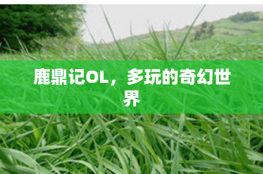 多玩的奇幻世界图片